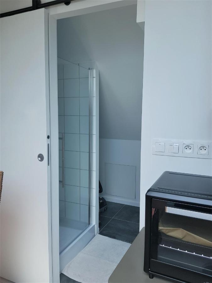 Au Gre De L'Ill "Les Toits D'Horbourg" Apartment Bagian luar foto